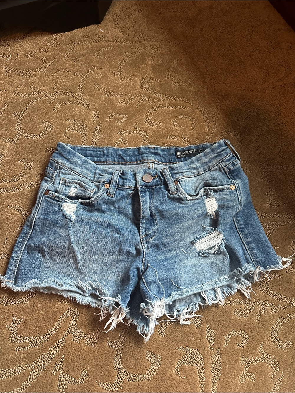 Blank NYC Distressed Light Blue Denim Cutoff Shorts